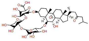 Luzonicoside E